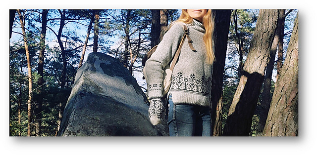 Pullover  Fleurs des champs