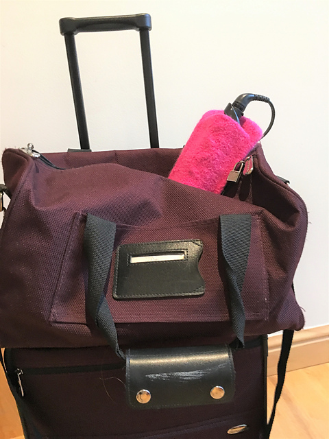 Got to Go Felted Flat Iron Travel Case