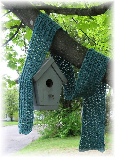 Bluebird Scarf