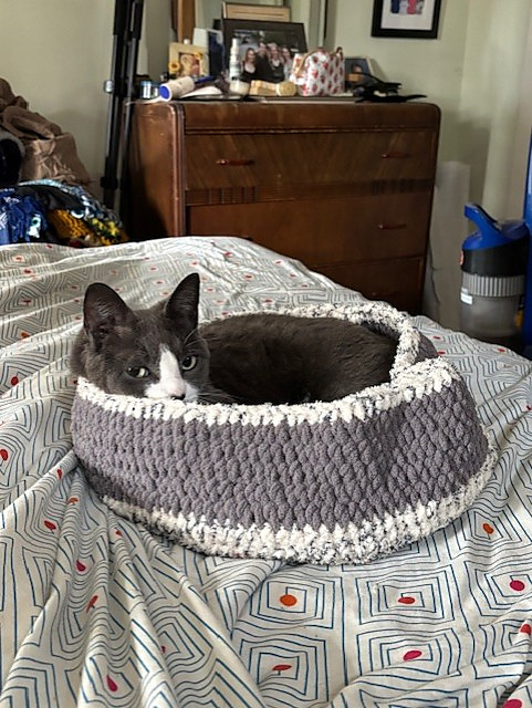 The Cozy Cat Bed