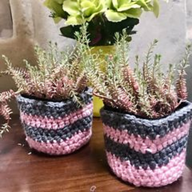 Striped Plant Cozy