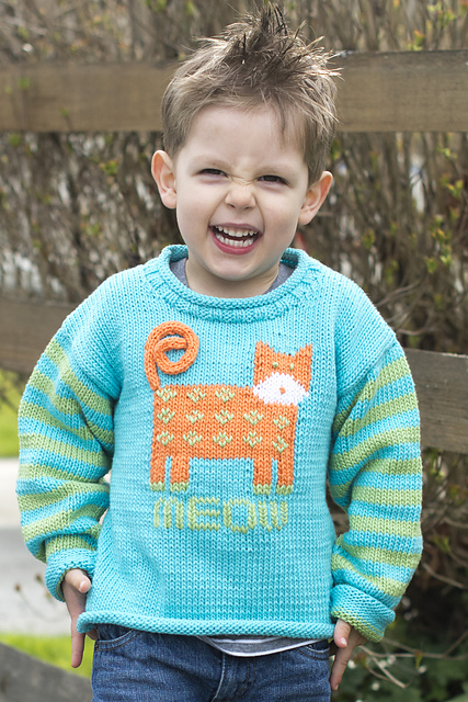 Cat's Meow Pullover