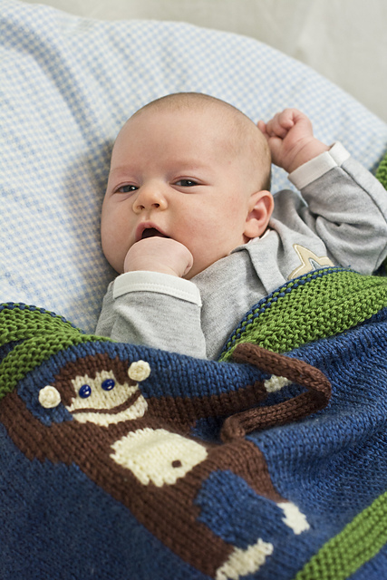 Monkey Business Blanket