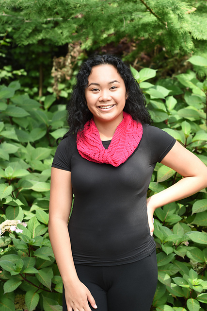 Biscayne Cowl