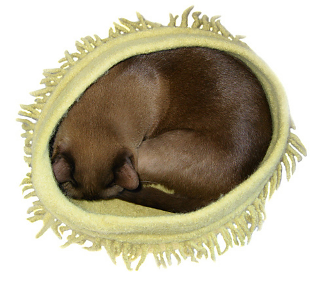 Large Bowl or Kitty Nest