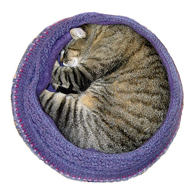 Fair Isle Nest