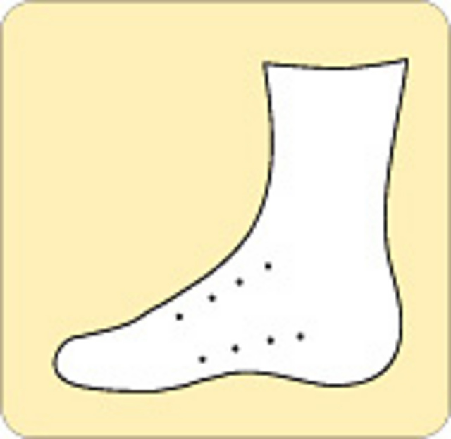 Foxglove Master Sock