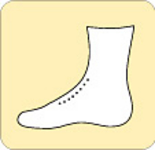 Ridgeline Master Sock