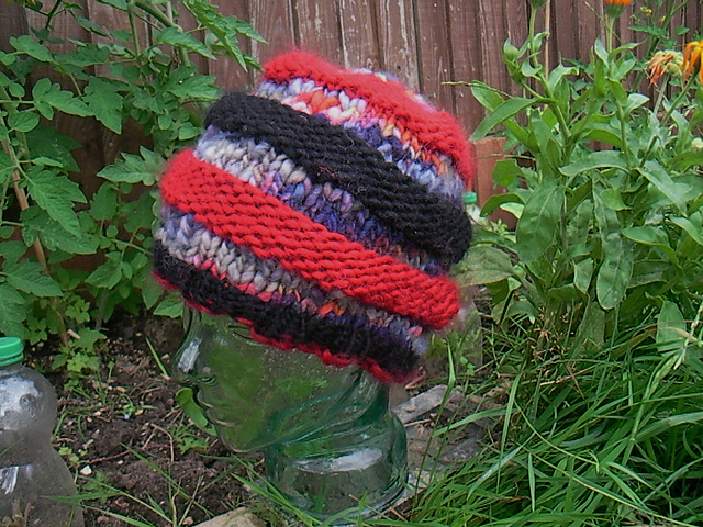 concertina caterpillar