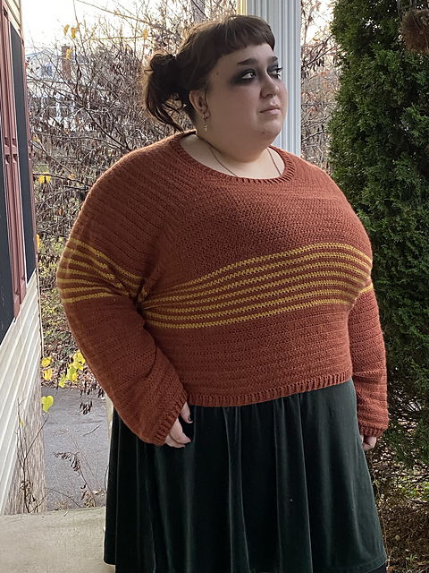 Sweater Paws and Stripes