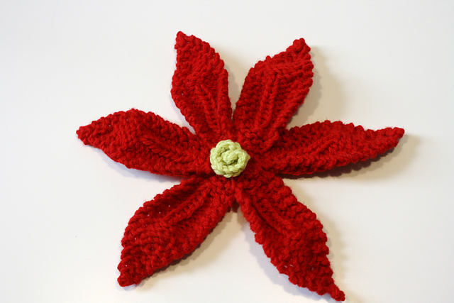 Poinsettia
