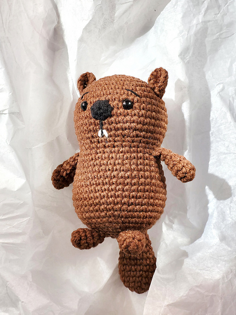 Small Baby Beaver