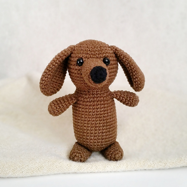 Brown Puppy Dachshund