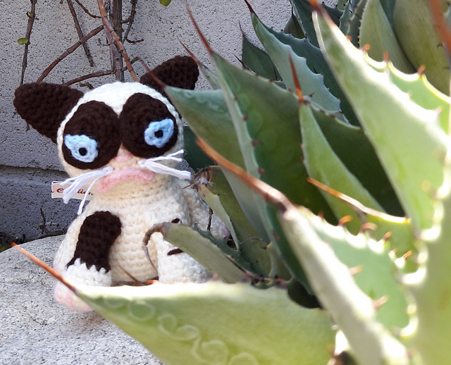 GROUCHY KITTY