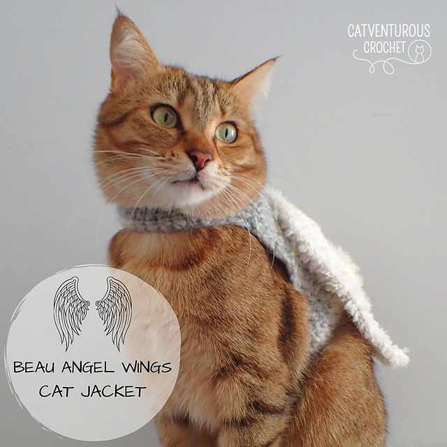 Ravelry Beau Angel Wings Cat Jacket pattern by Charlotte Gillbanks