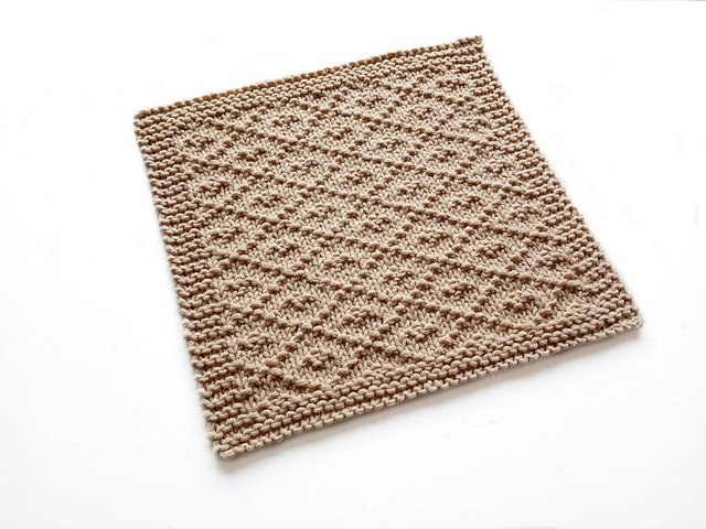 PAMPA Dishcloth