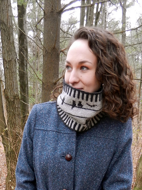 Birds on a Wire Cowl