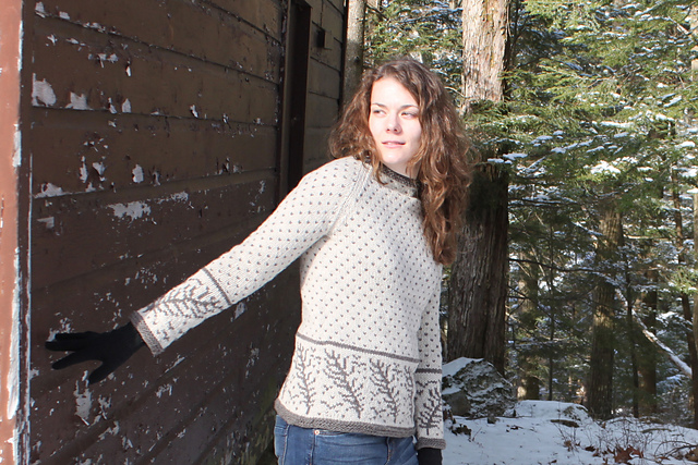 Contour Feathers Pullover