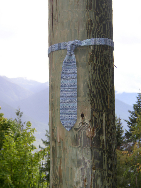 Toad Rock Tie