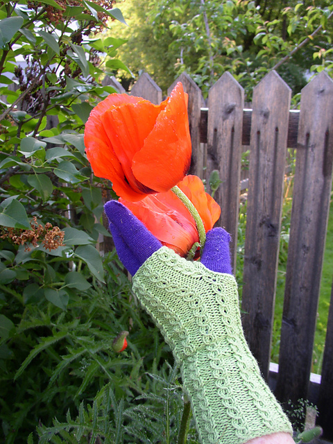 Celeste's Fingerless Gloves
