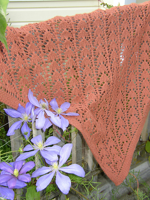 South Slocan Scarf