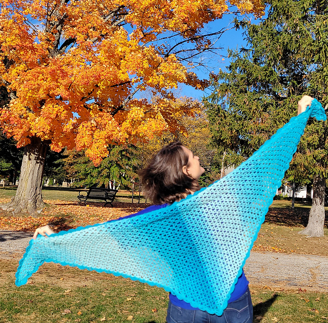 Easy Beginner Ombre Shawl