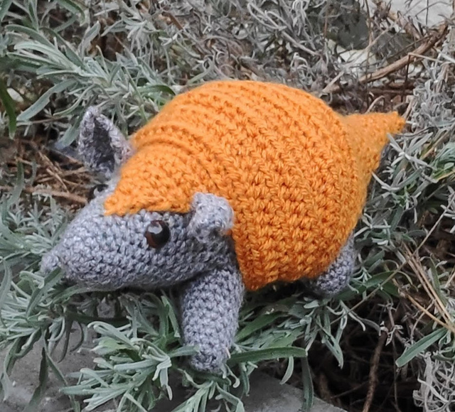 Armadillo Apollo
