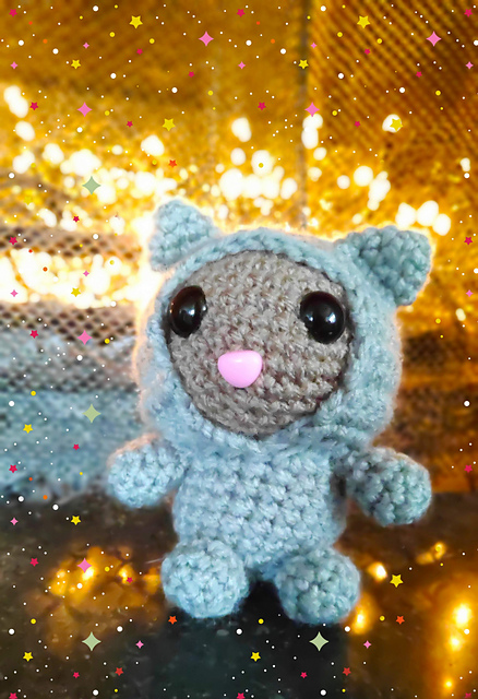 NASA Space Cat