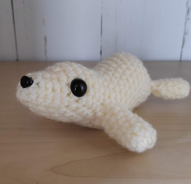 Winter the Seal