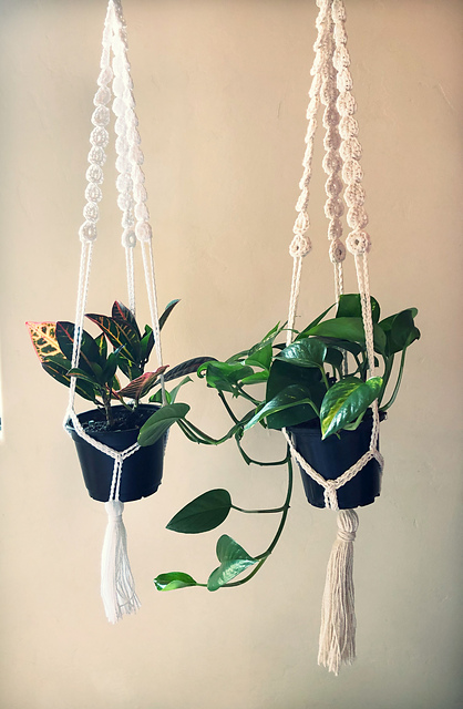 Nursery Plant Hangers
