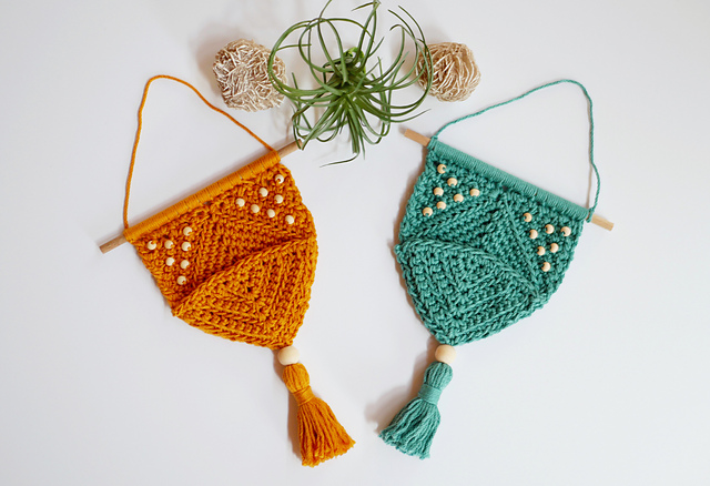 Air Plant Wall Hanging