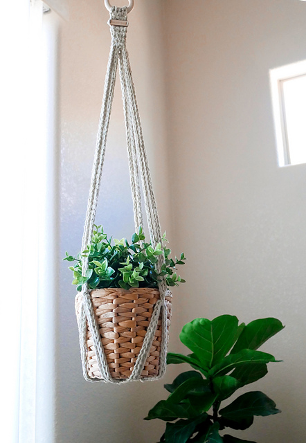 Vior Plant Hanger
