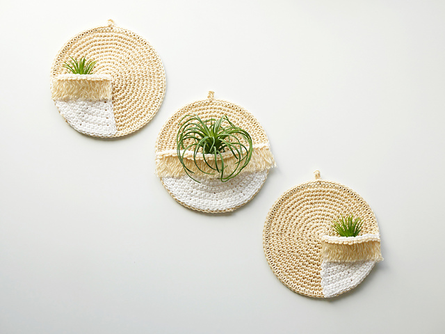 Solana Air Plant Hangers