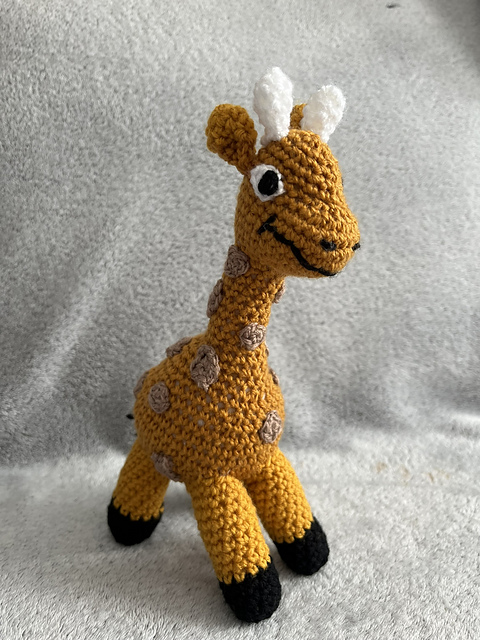 Gorgeous Giraffe