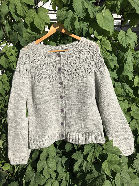 Lavendel longcardi