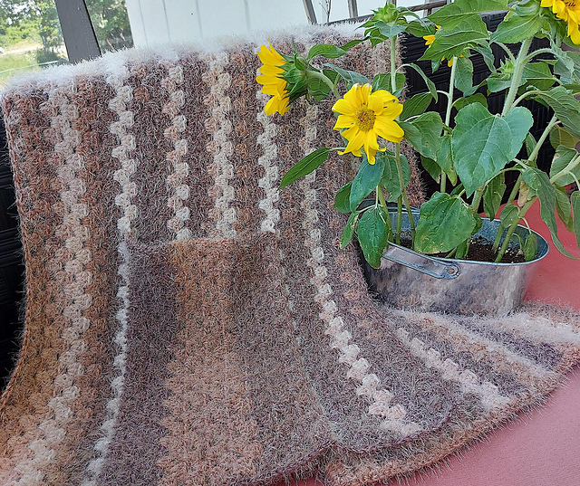 Rocket Pocket Shawl