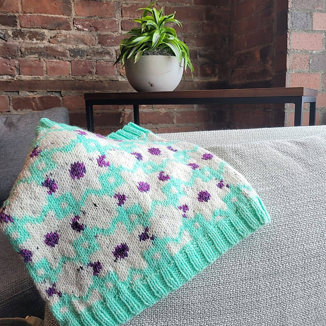 Amira Cowl