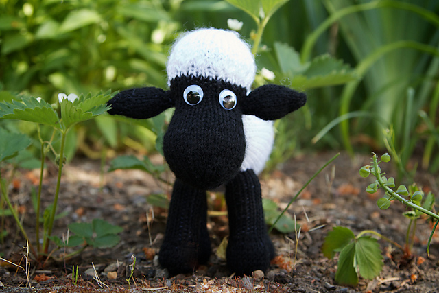 Shaun