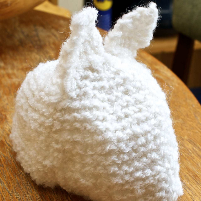 Beginner Baby Hat with ears