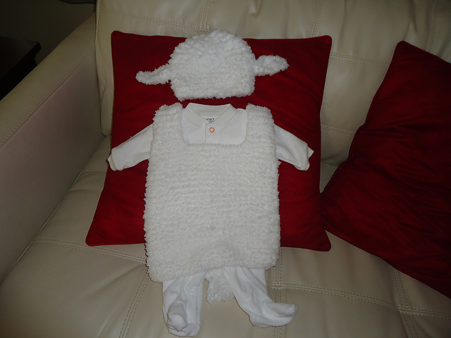 Little Lamb Costume
