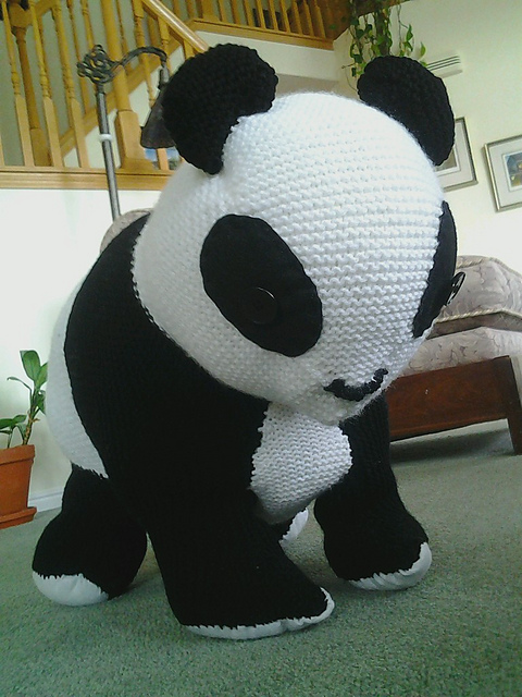 Cute Baby Panda
