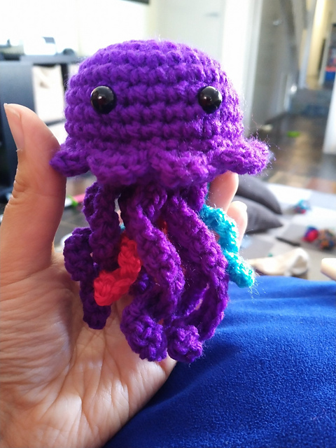 Jellyfish