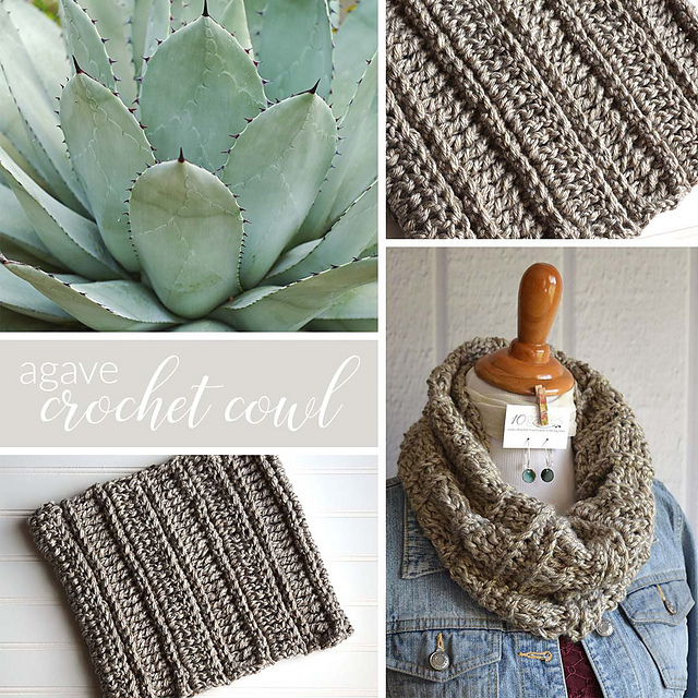 Agave Simple Cowl