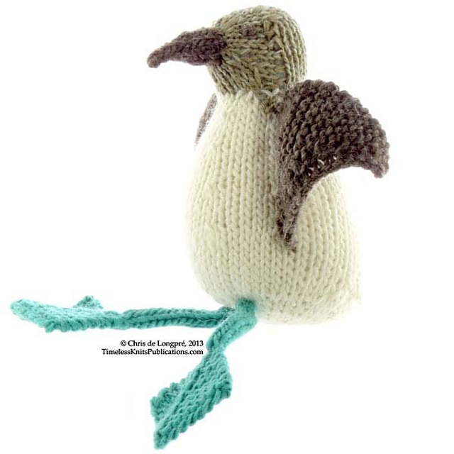 Blue-footed Booby