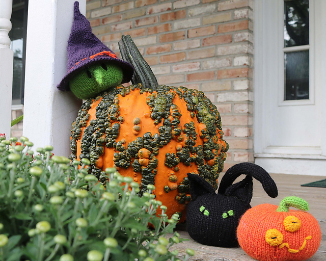 Pumpkin Patch