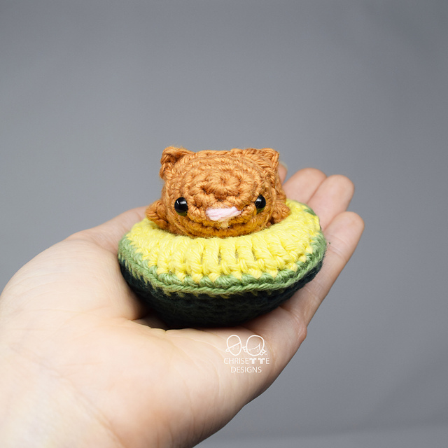 Avocato Pitten Cat