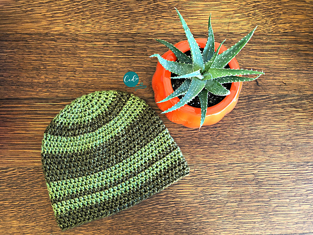 Striped Beanie