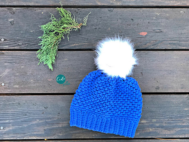 Winter Pom Hat