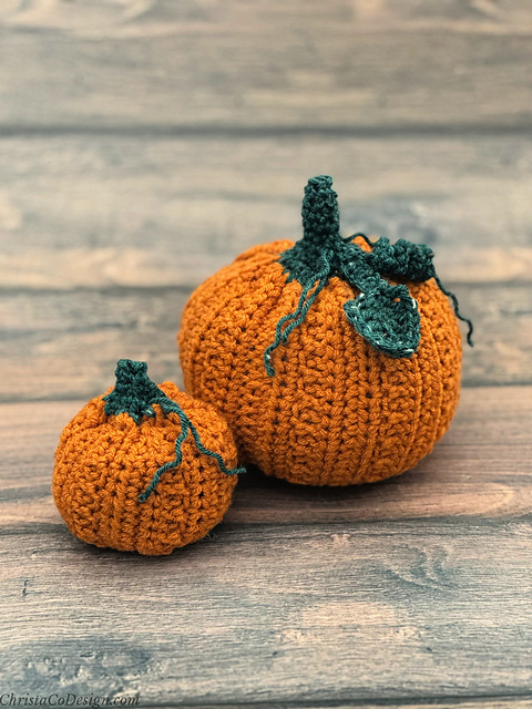Zucca Pumpkin