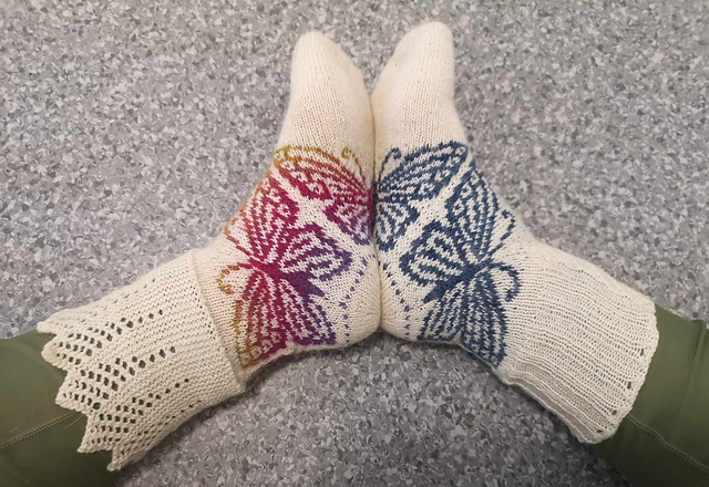 Can you Count to Butterfly